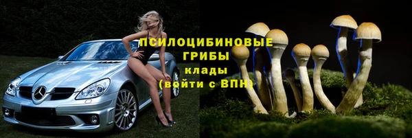 гашик Михайлов