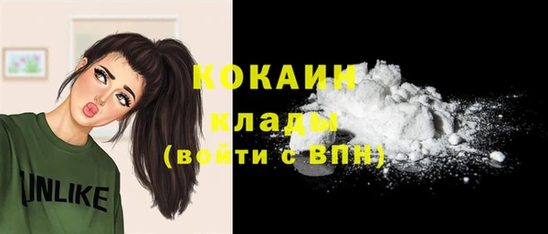 гашик Михайлов