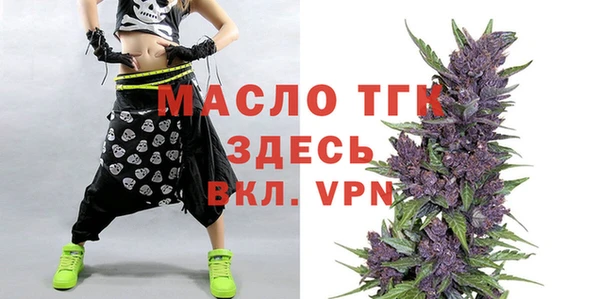 гашик Михайлов