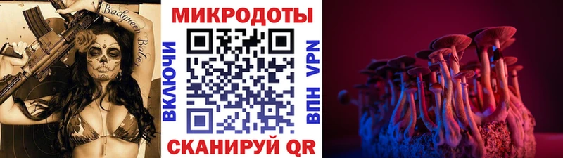 Галлюциногенные грибы мицелий  Осташков 