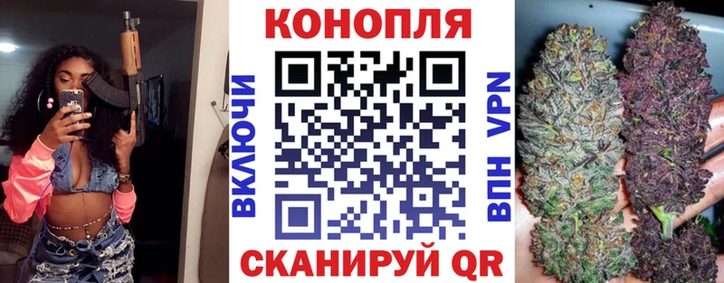Конопля план Осташков
